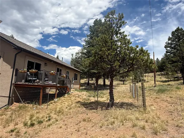 24 Big Horn CIR, Florissant, CO 80816