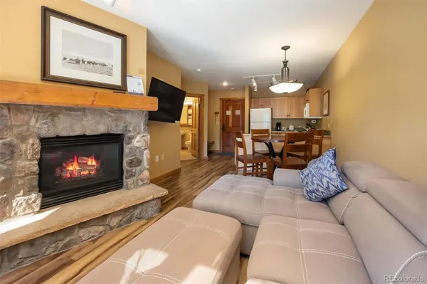 150 Dercum SQ #8482, Keystone, CO 80435