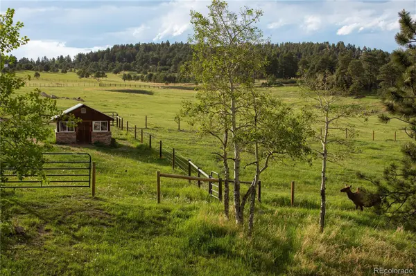 5276 S Bear Mtn. DR, Evergreen, CO 80439