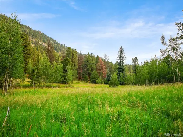 00 S Le Masters DR, Evergreen, CO 80439