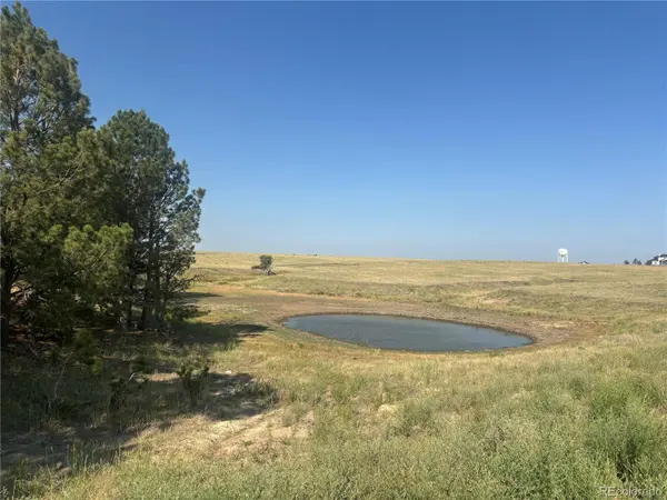 32147 Waylongood PT, Kiowa, CO 80117