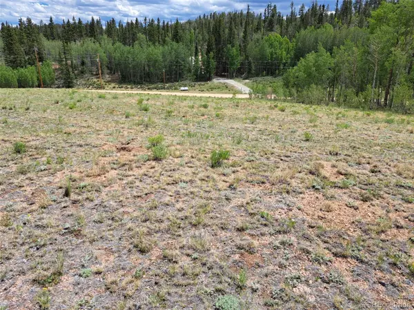 6242 Remington RD, Como, CO 80432