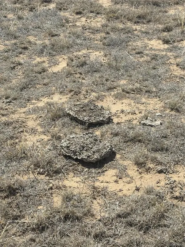 Lot 10 Cuerno Verde Ranches, Walsenburg, CO 81089