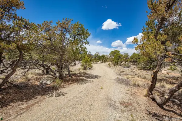 Midland Circle (373A), Buena Vista, CO 81211
