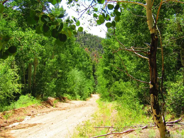 Lot 5526 Joy RD, Fort Garland, CO 81133