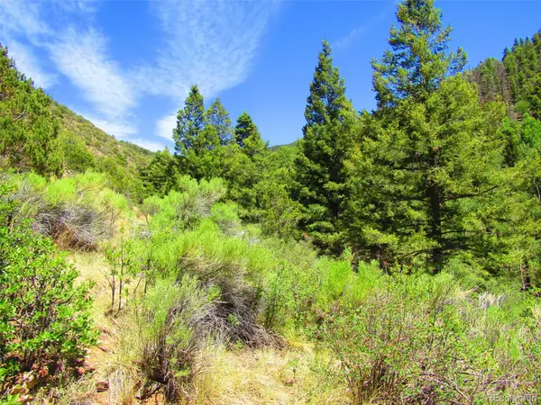 Lot 5526 Joy RD, Fort Garland, CO 81133