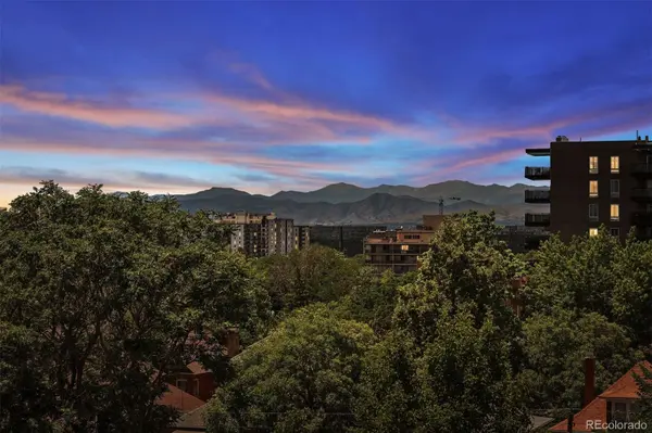 1050 N Lafayette ST #108, Denver, CO 80218
