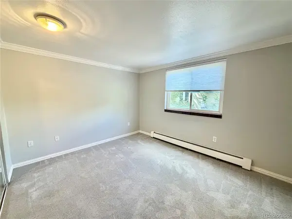1125 N Washington ST #301, Denver, CO 80203