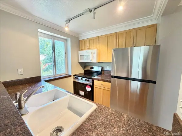 1125 N Washington ST #301, Denver, CO 80203