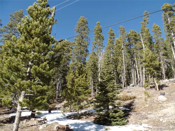0 Loch Lomond RD, Idaho Springs, CO 80452
