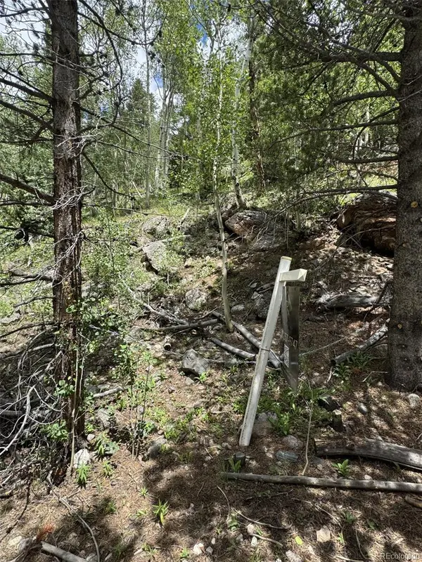 0 Loch Lomond RD, Idaho Springs, CO 80452
