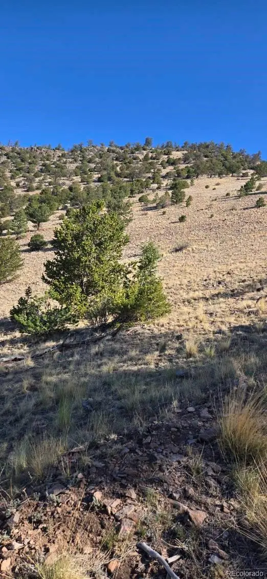 0 County Road 41g, Center, CO 81125