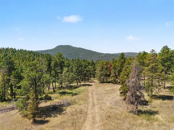 23300 Pleasant Park RD, Conifer, CO 80433