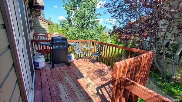 30 Spyglass LN, Silverthorne, CO 80498