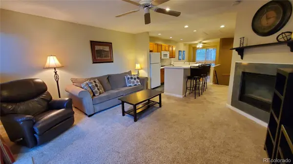 30 Spyglass LN, Silverthorne, CO 80498