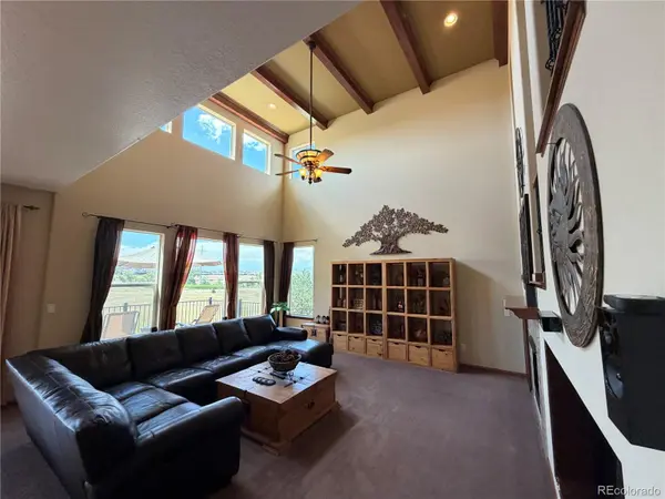 11569 S Flower Mound WAY, Parker, CO 80134
