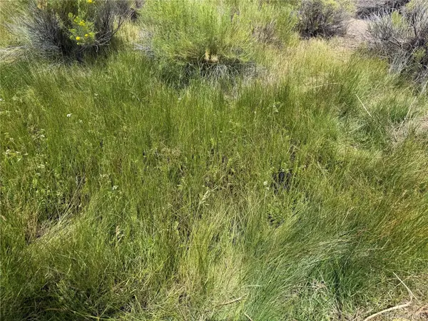 00 County Road South 6, Alamosa, CO 81101