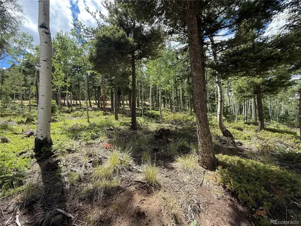 167 Big Bear RD, Manitou Springs, CO 80829