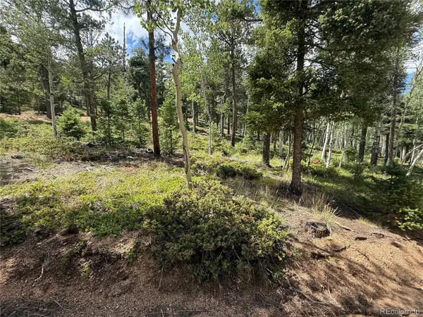 167 Big Bear RD, Manitou Springs, CO 80829