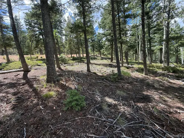 167 Big Bear RD, Manitou Springs, CO 80829