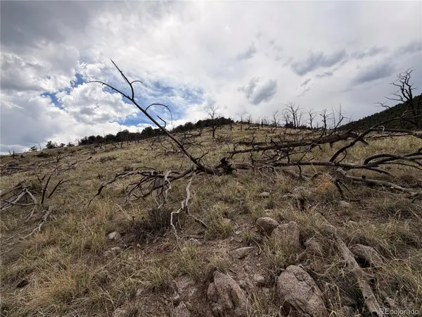 000 J Path, Cotopaxi, CO 81223