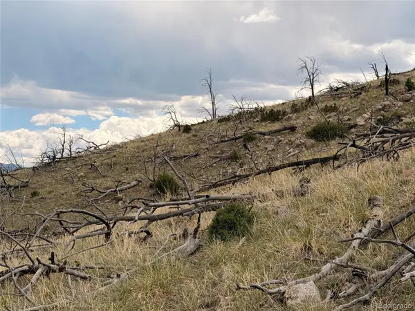 000 J Path, Cotopaxi, CO 81223