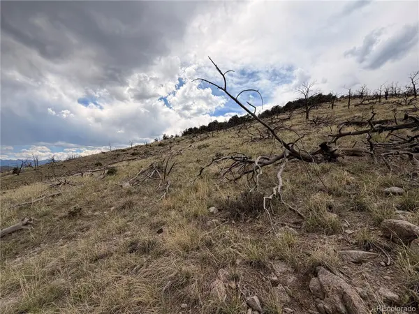 000 J Path, Cotopaxi, CO 81223