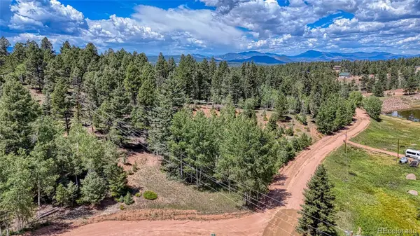 244 Spring Valley LN, Florissant, CO 80816