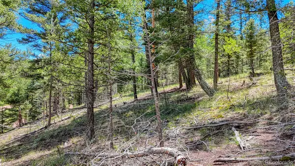 244 Spring Valley LN, Florissant, CO 80816