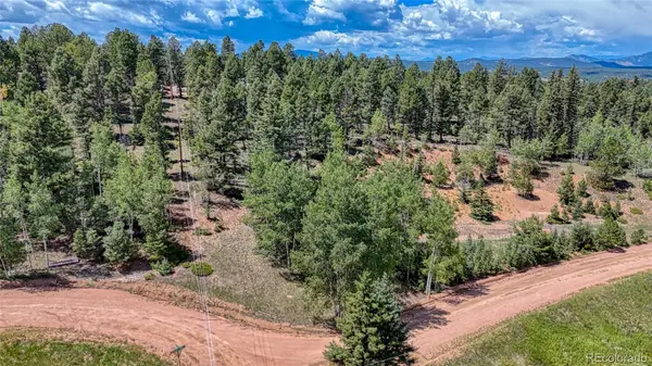 244 Spring Valley LN, Florissant, CO 80816