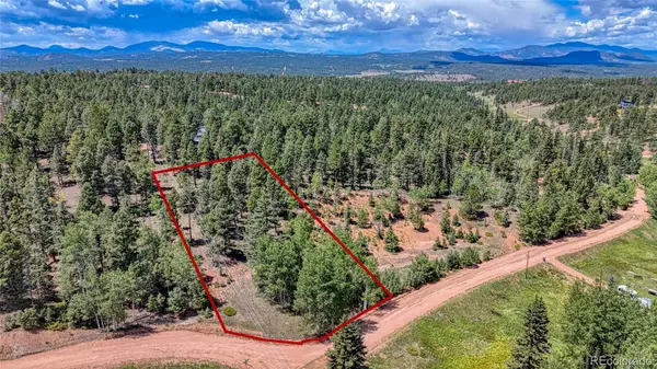 244 Spring Valley LN, Florissant, CO 80816