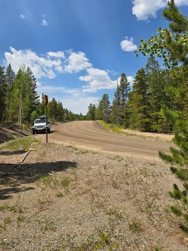 000 Virginia Canyon RD, Central City, CO 80427