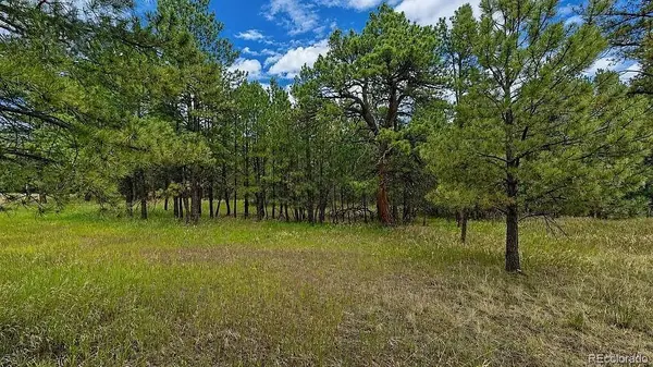 00 Westwood RD, Colorado Springs, CO 80919