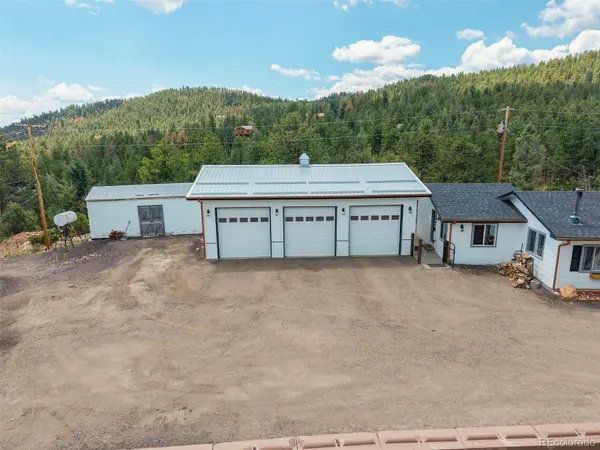 33758 Harmon RD, Pine, CO 80470