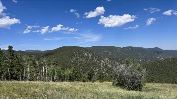 002 Mac Rock RD, Central City, CO 80427