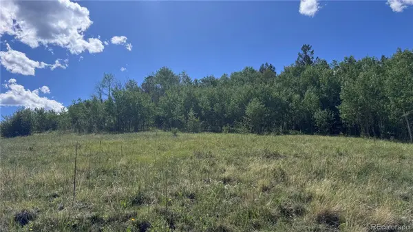 002 Mac Rock RD, Central City, CO 80427