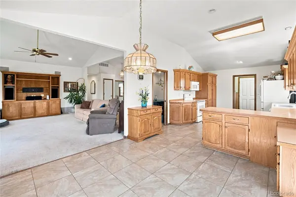 11226 Panorama CT, Parker, CO 80138