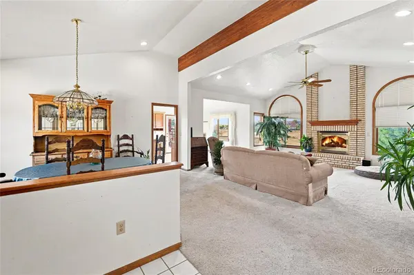 11226 Panorama CT, Parker, CO 80138