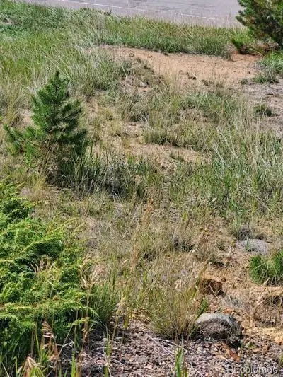 000 Quartz Valley, Central City, CO 80427