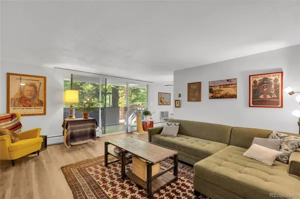 1085 N Lafayette ST #204, Denver, CO 80218