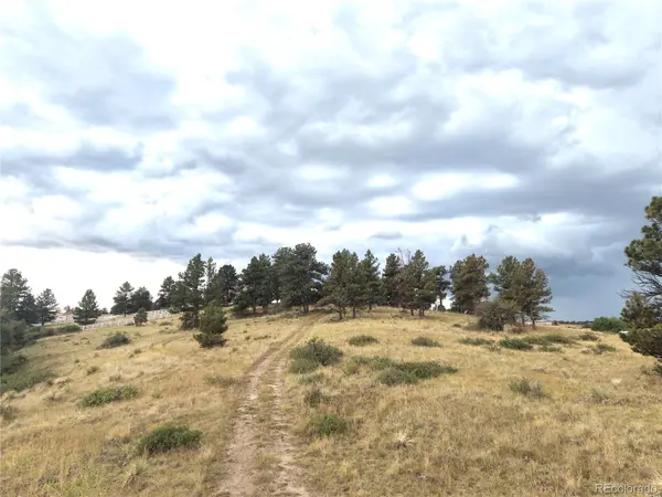 46341 Needleleaf LN, Parker, CO 80138