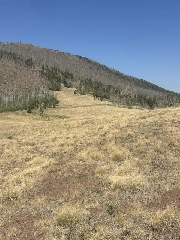 2343 Sigler DR, Fort Garland, CO 81133