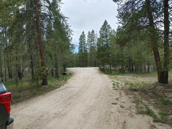 849 Topaz ST, Leadville, CO 80461