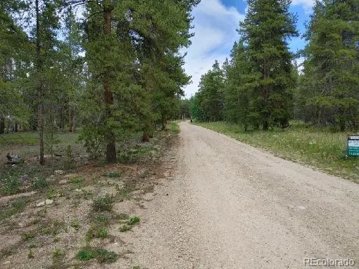 849 Topaz ST, Leadville, CO 80461