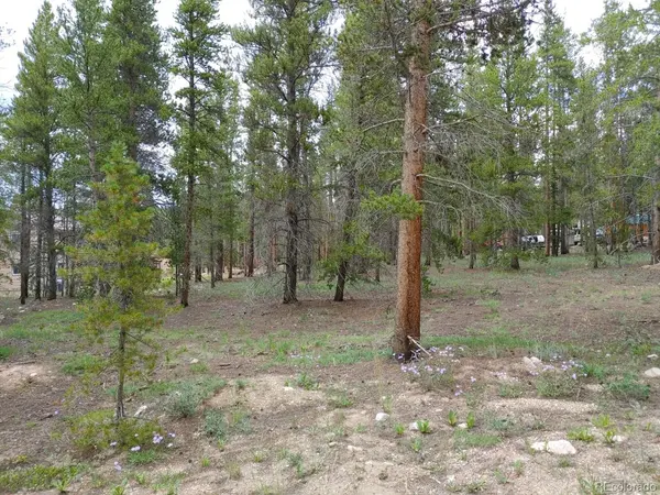 849 Topaz ST, Leadville, CO 80461