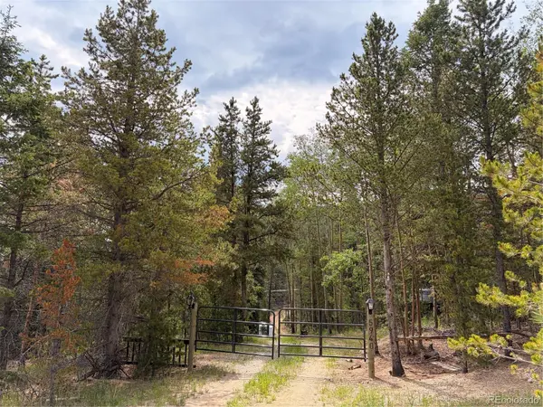 5940 Virginia Canyon RD, Central City, CO 80427