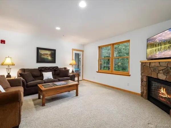 337 Streamside LN #103, Frisco, CO 80443
