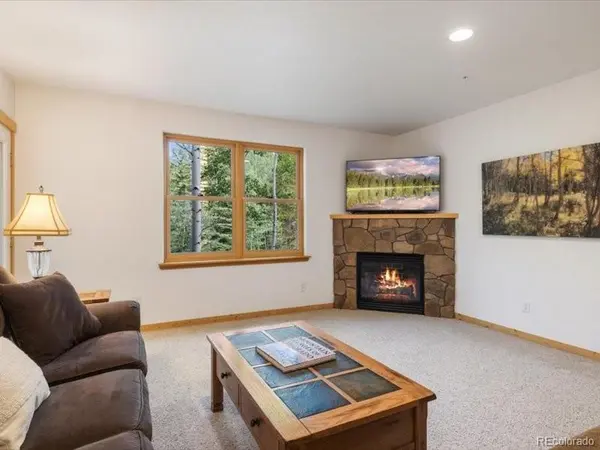 337 Streamside LN #103, Frisco, CO 80443
