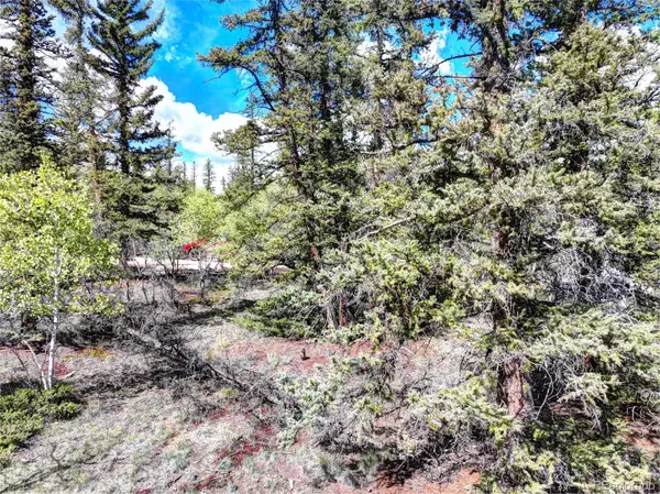 860 Shoshone DR, Como, CO 80456
