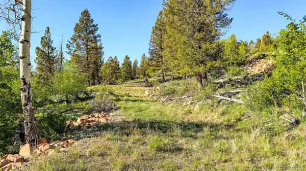 4924 Middle Fork VIS, Fairplay, CO 80440